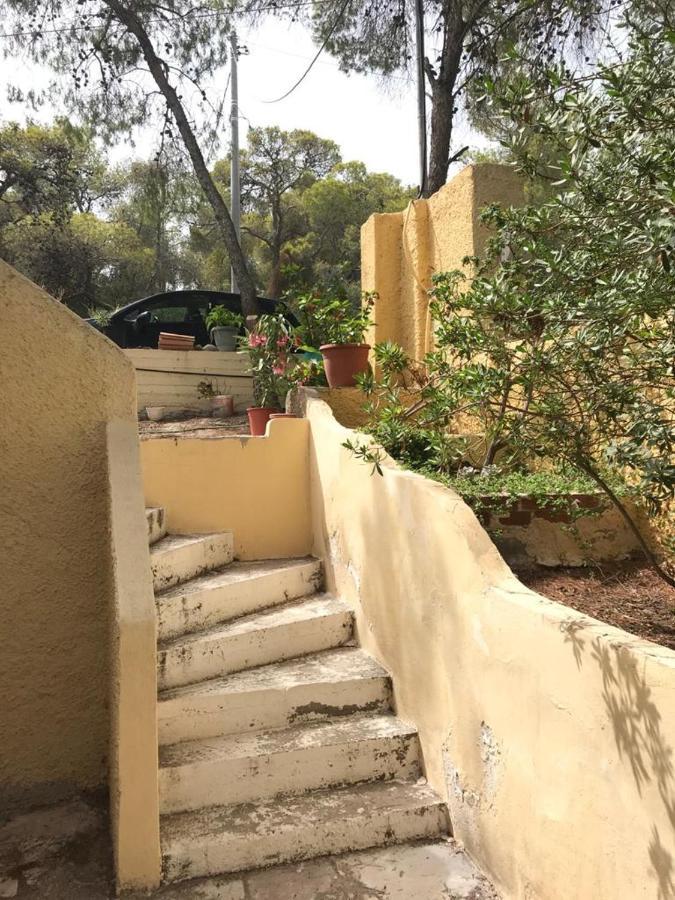 דירות Agia Marina  Vana Kavos מראה חיצוני תמונה