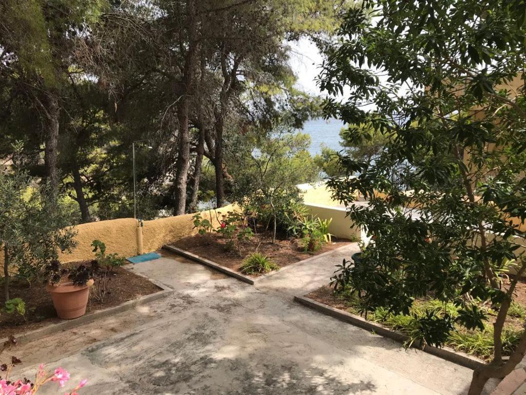 דירות Agia Marina  Vana Kavos מראה חיצוני תמונה